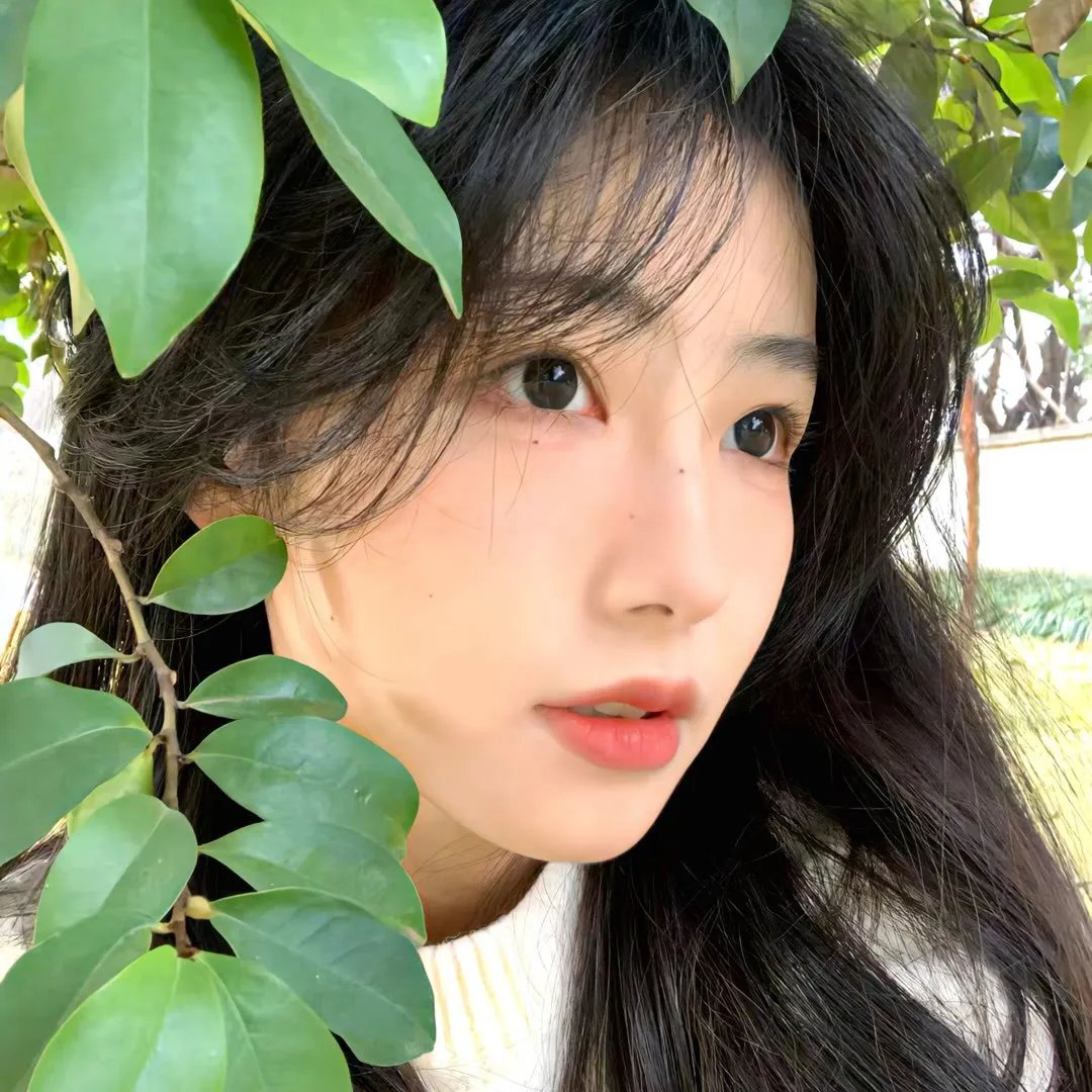 高校功夫女神